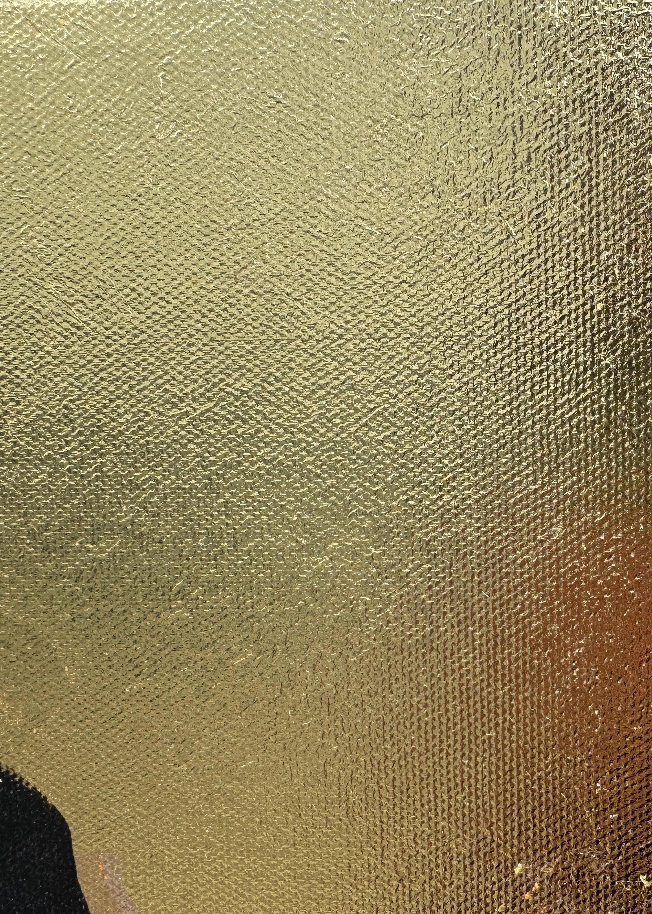 Golden Veil fine art print – couture portrait with luxe detailing.