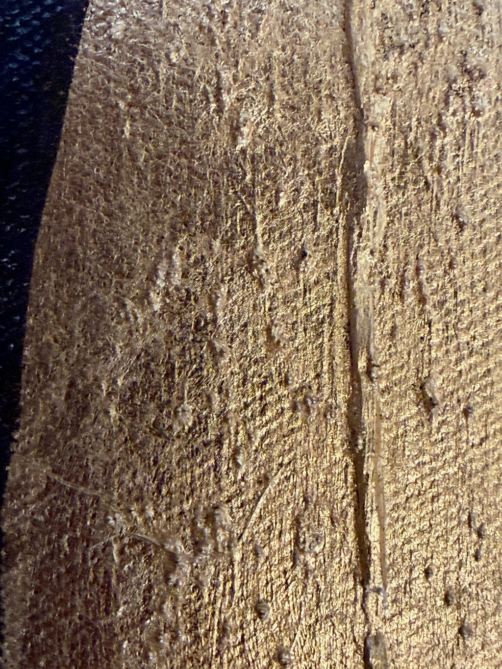 Close-up of 23K gold leaf on canvas and mixed-media texture detail of The River Within original artwork by Lisa Rees